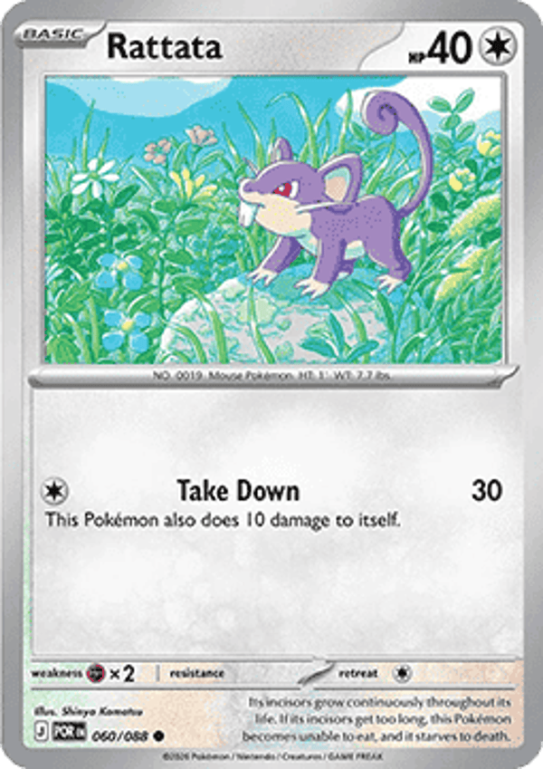 Perfect Order - #060 - Rattata