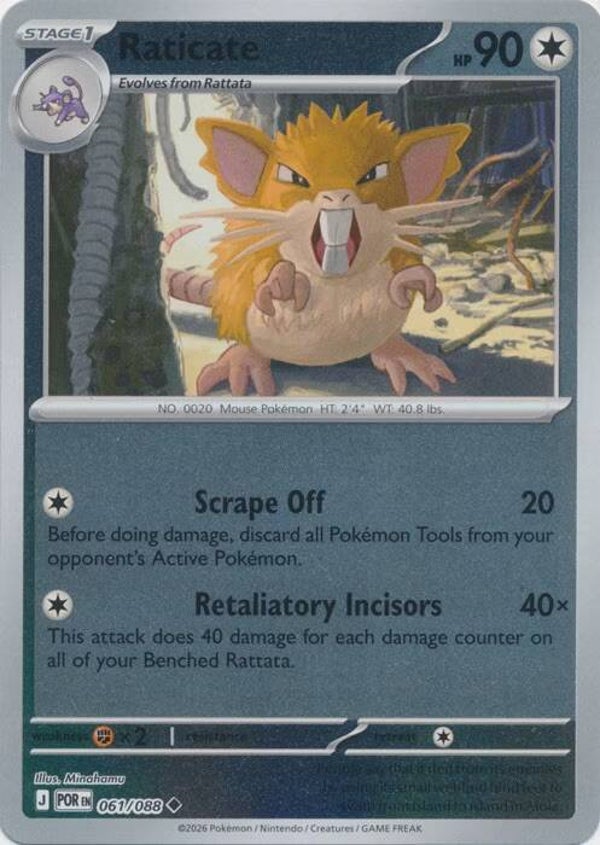 Perfect Order - #061 - Raticate - REVERSE