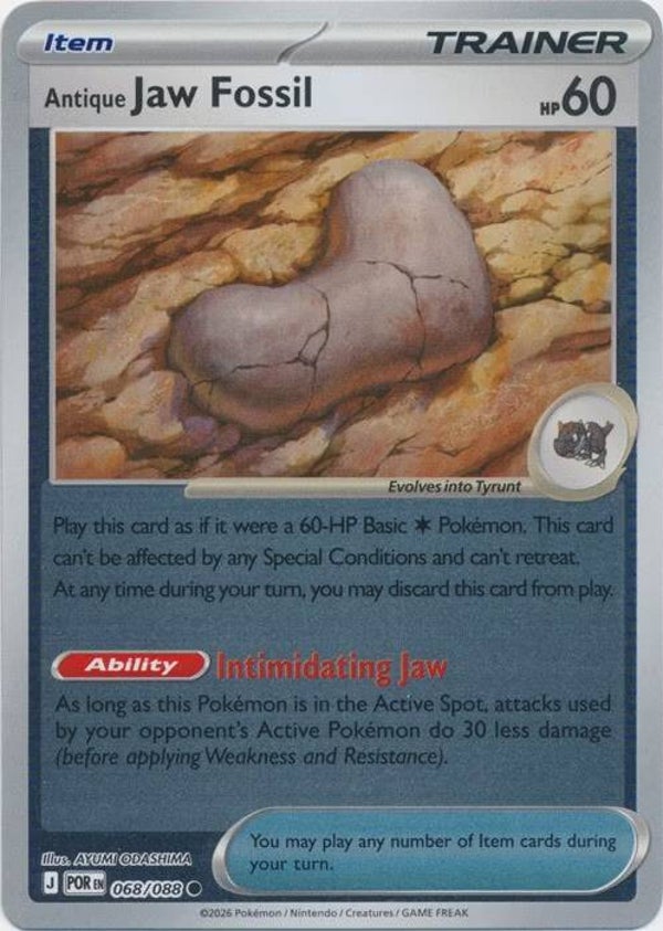 Perfect Order - #068 - Antique Jaw Fossil - REVERSE