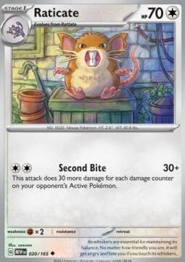 151 - #020 - Raticate