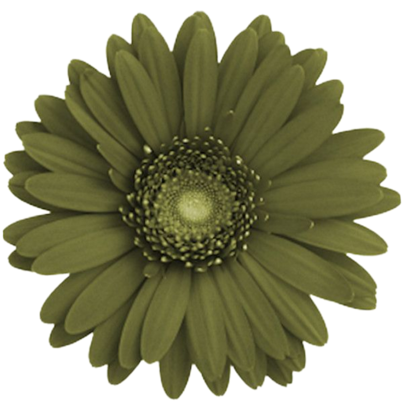 screenshot_20260204_131642_chrome-standard.png