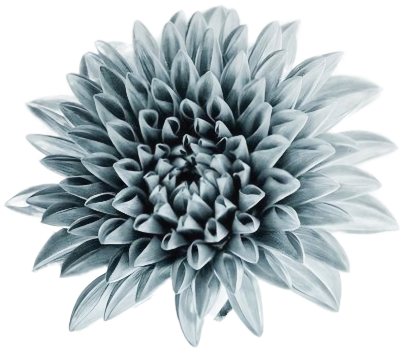screenshot_20260215_221303_chrome-standard.png
