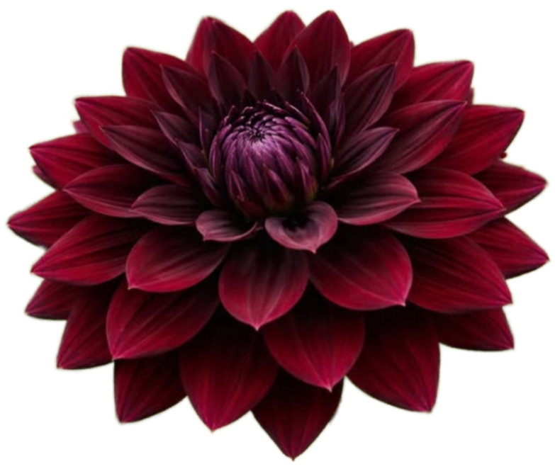screenshot_20260216_214514_chrome-standard.png