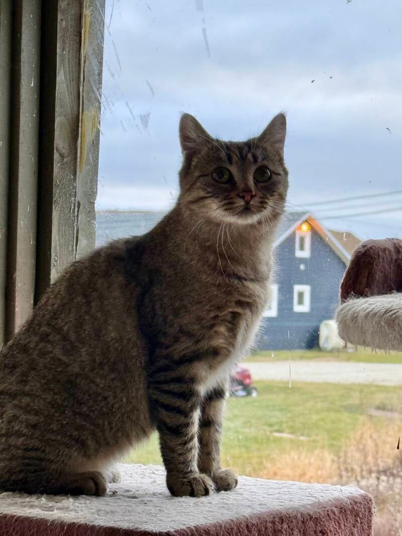 img_1282-standard.jpgj