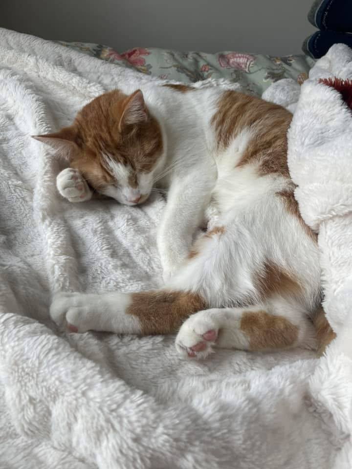 Jacob dans sa nouvelle famille 2025