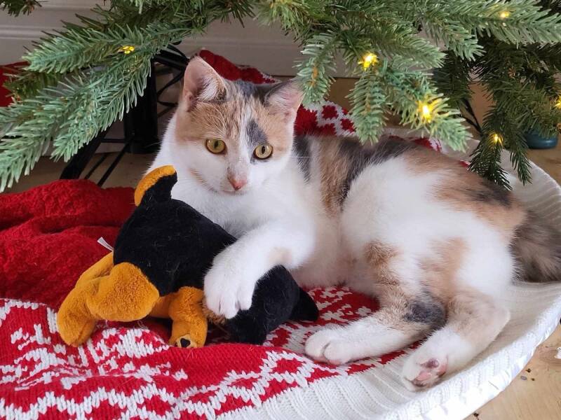 Émilie dans sa nouvelle famille 20