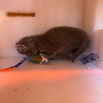 img_9287-standard.jpg