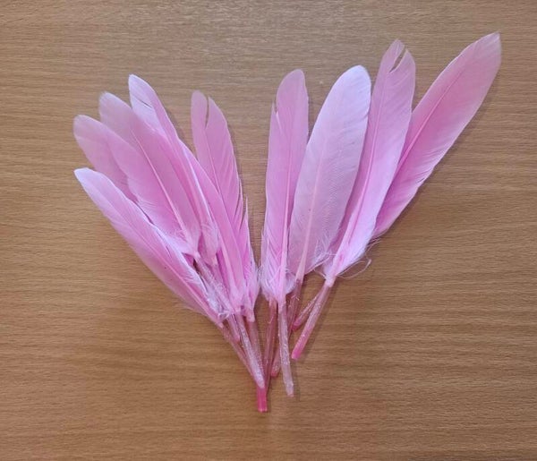 Veer Lichtroze - 14/15 cm