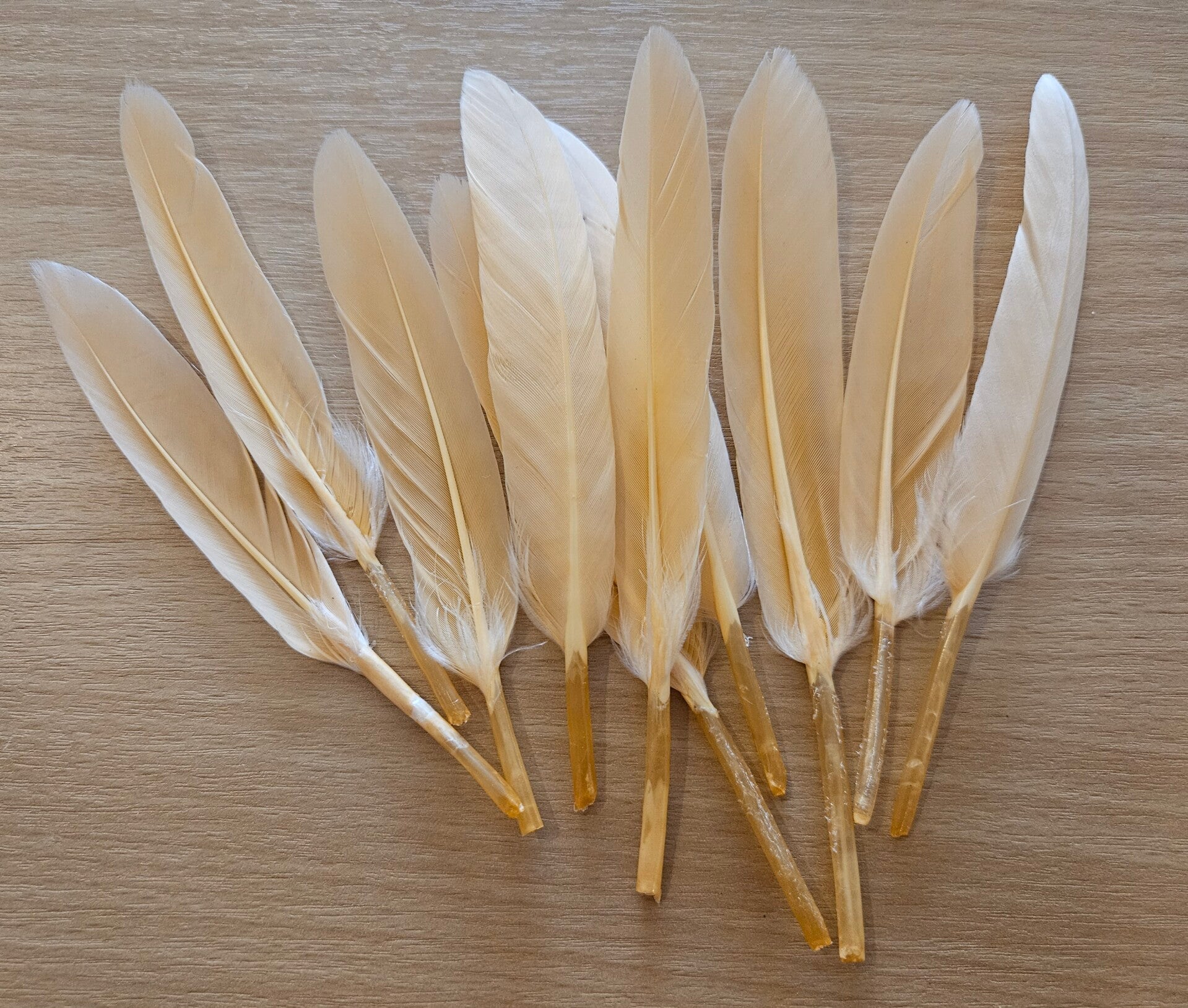 Veer Zalmkleur - 13/14 cm