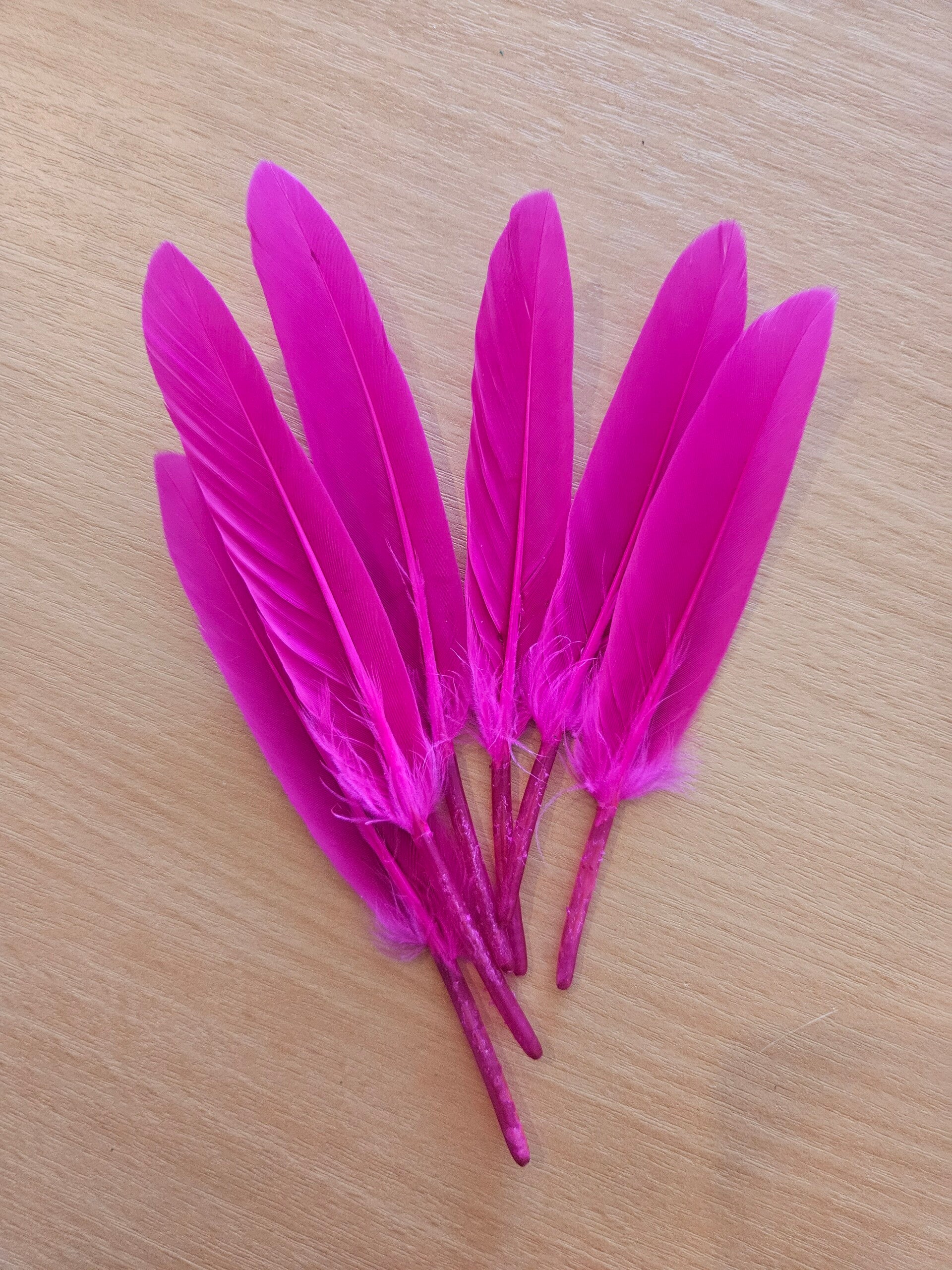 Veer Paarsroze - 13/14cm