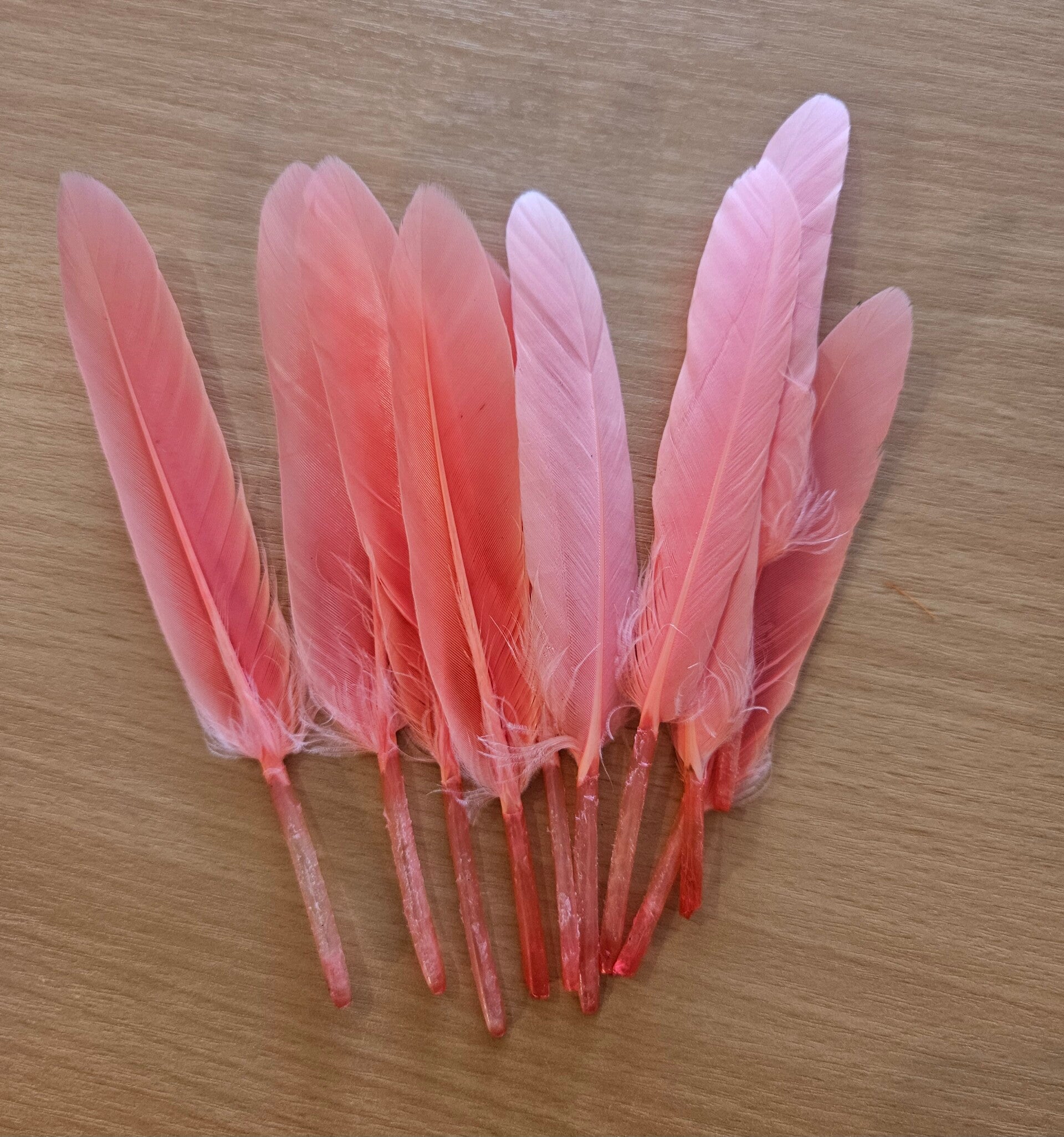 Veer Flamingo roze/koraal- 12cm