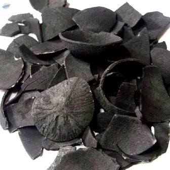 Coconut charcoal briquettes