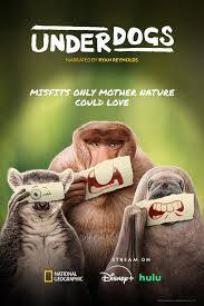 underdogs-standard.jpg