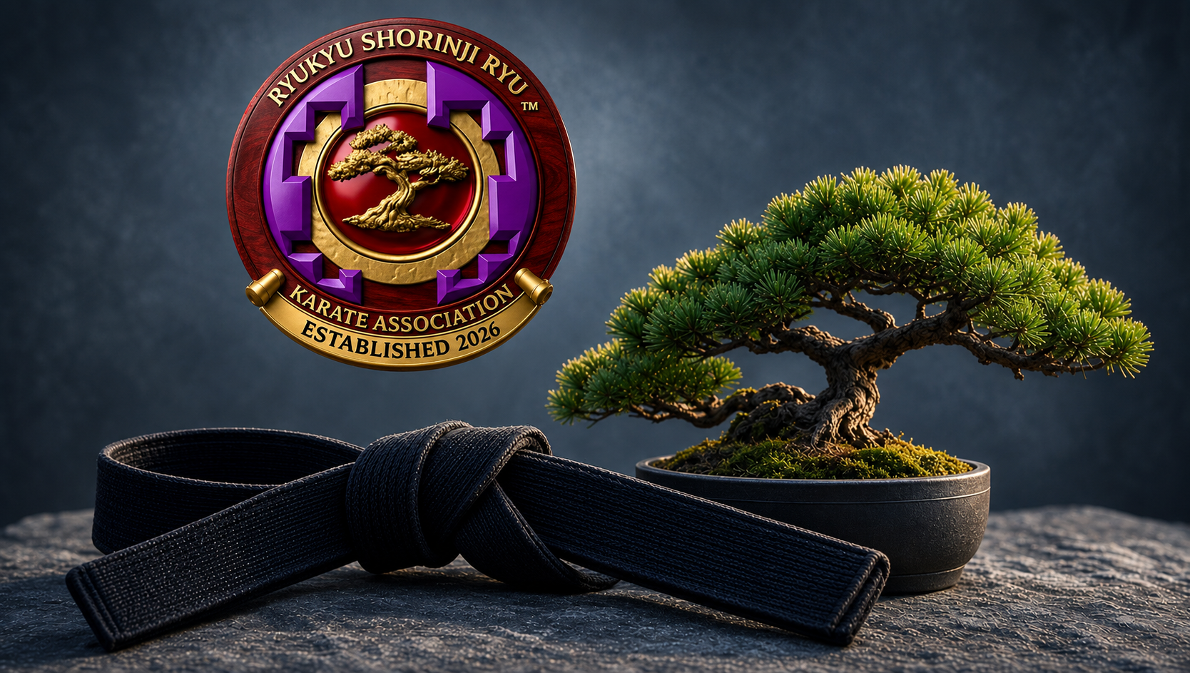 Ryukyu Shorinji-Ryu Karate Association
