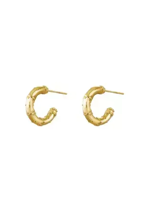 Oorbellen India- goud