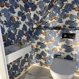 toiletdh-2.jpg