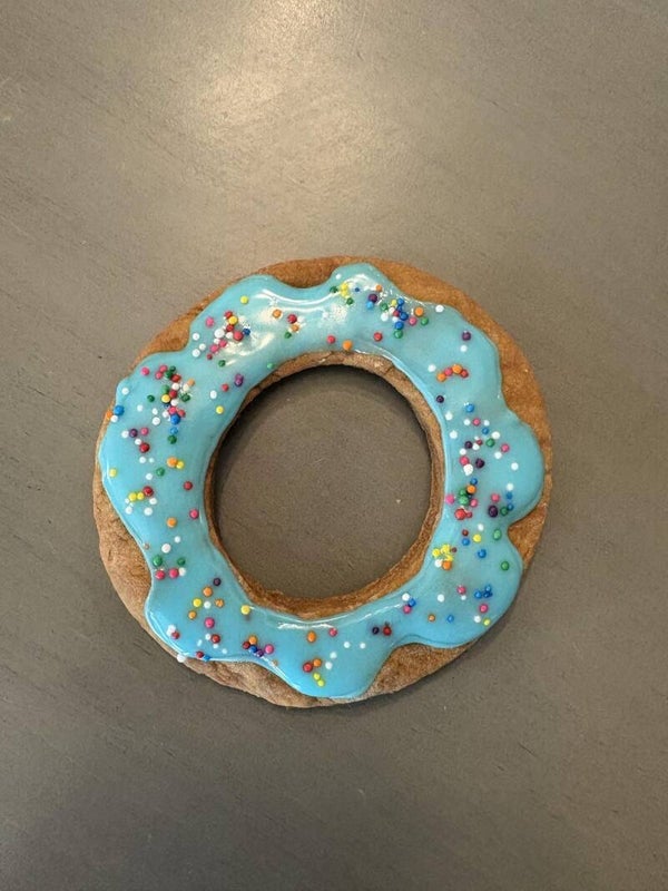 Frosted Donut