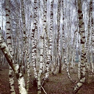 Communicatie in goede banen