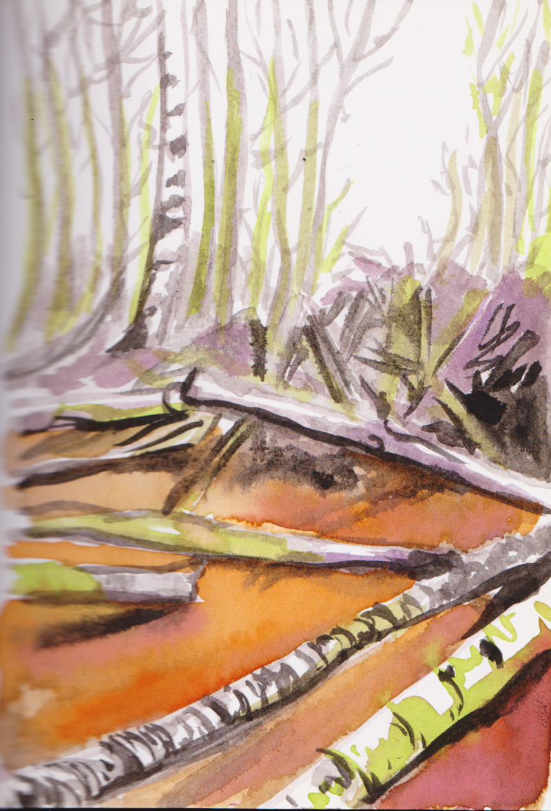 Ecoline en inkt op papier, 10,5 x 15 cm, 2017