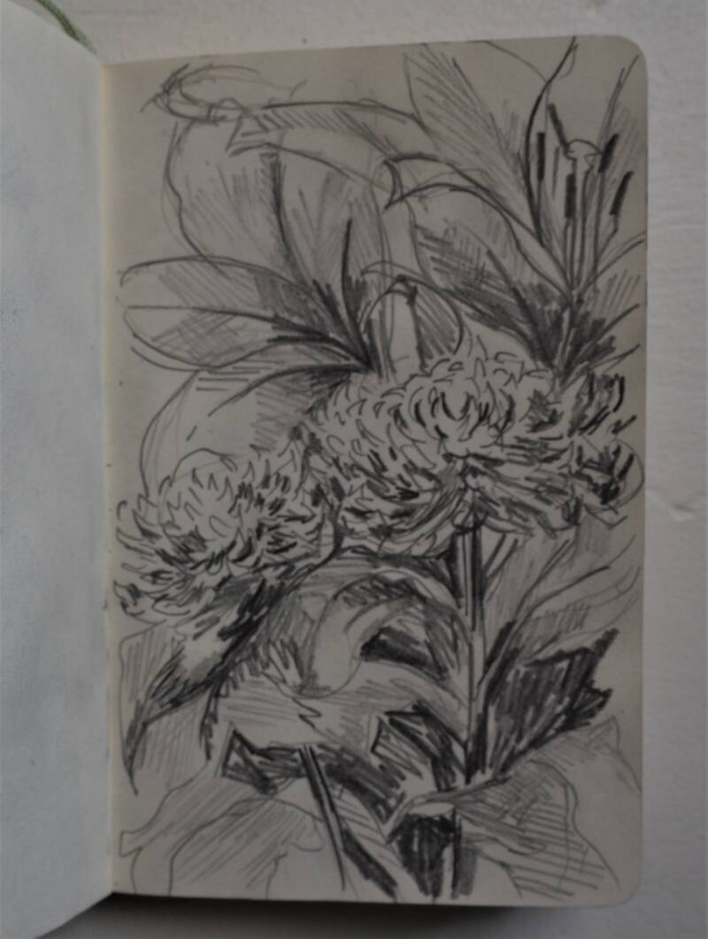 Potlood op papier, 9 x 14 cm,2019