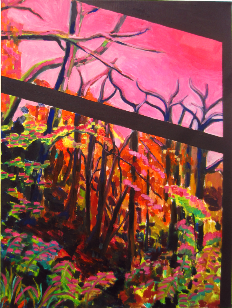 Untiteld, 50 x 70 cm,  acryl en olieverf op doek, 2016