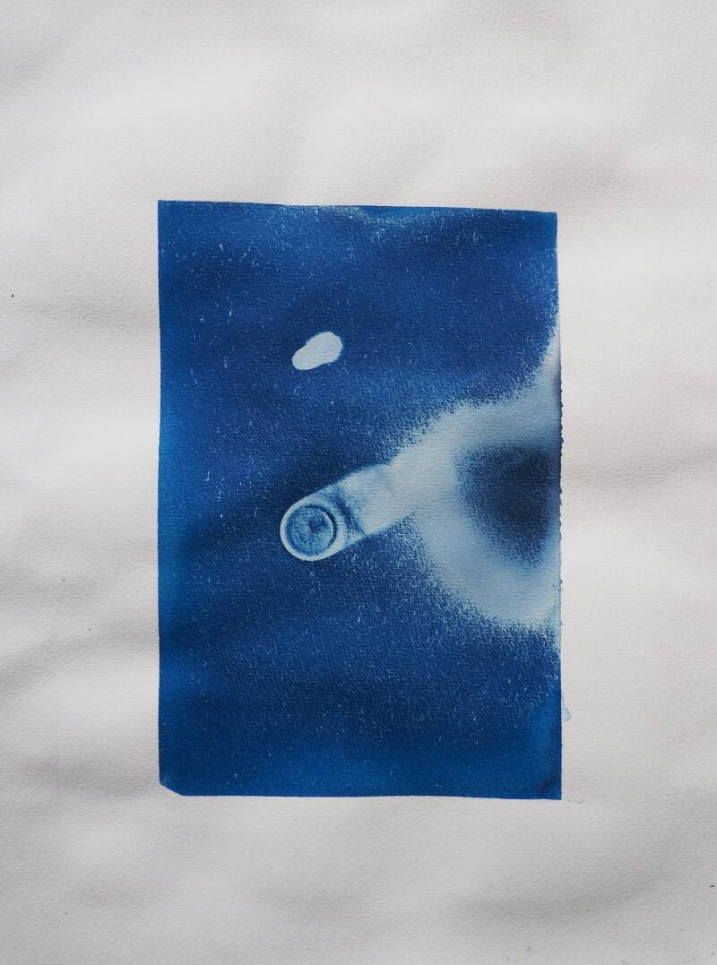 Cyanotype, 14,8 cm x 21 cm 2021