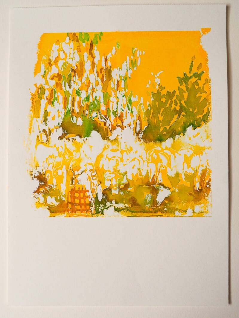 De waarheid is een optie, 29,7 x 42 cm, Monotype in acryl, 3/3, 2026