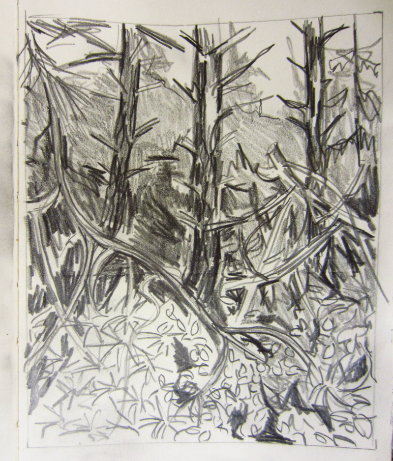 Potlood op papier, 13 x 21 cm, 2017