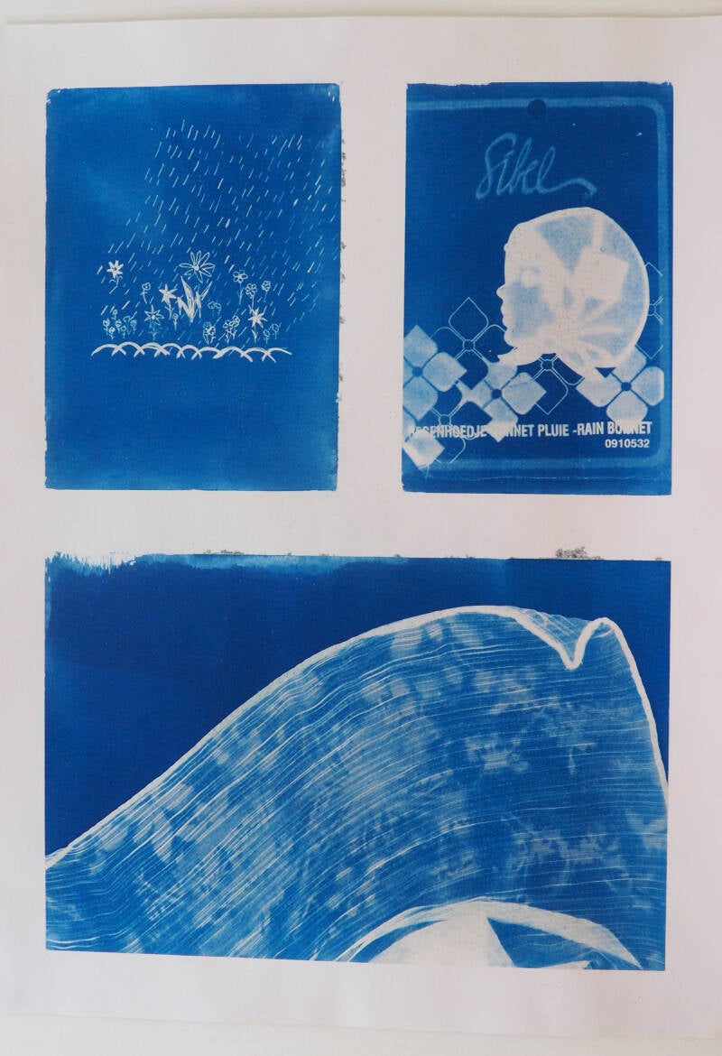 Droog haar, cyanotype op papier, 29,5 x 39,4 cm, 2026