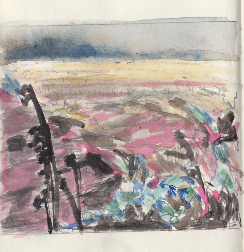 Ecoline en inkt op papier, 13 x 11 cm, 2017