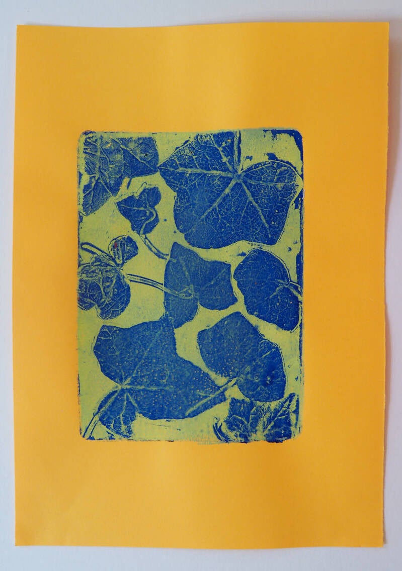 Klimop, monotype in acryl op oranje papier, 21 x 29,7cm, 2026