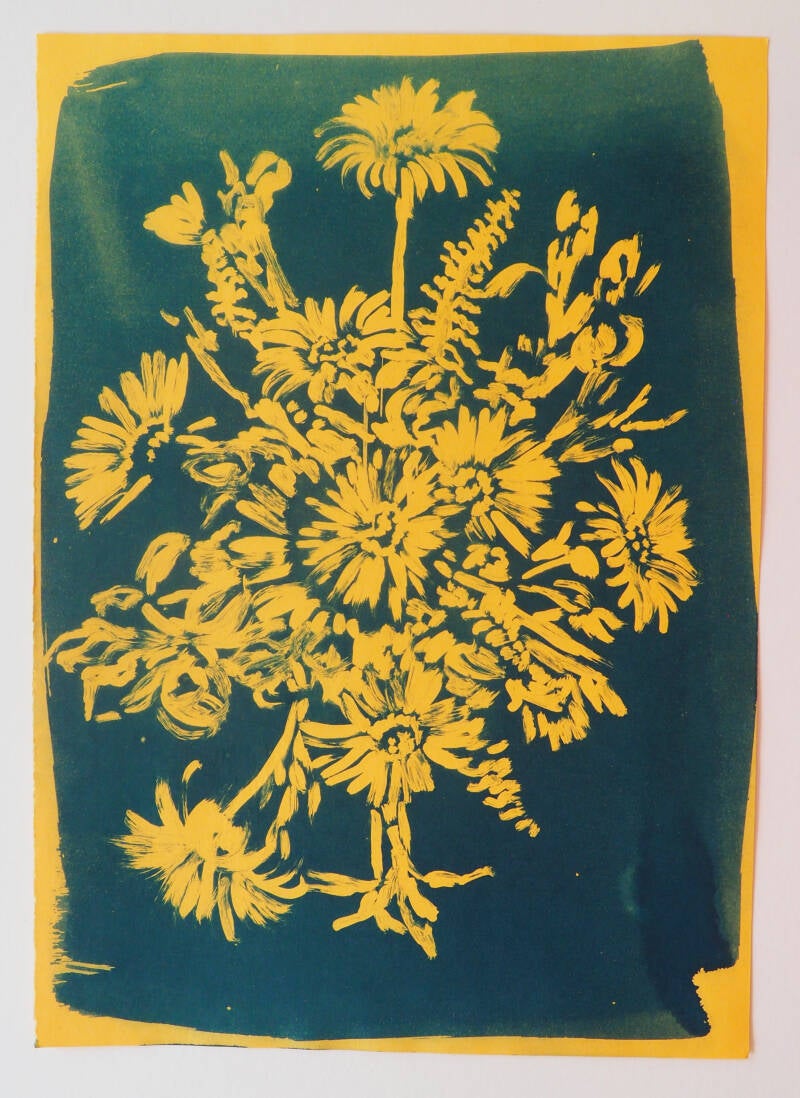Koekendoos II, cyanotype op oranje papier, 21 x 29,7 cm, 2026