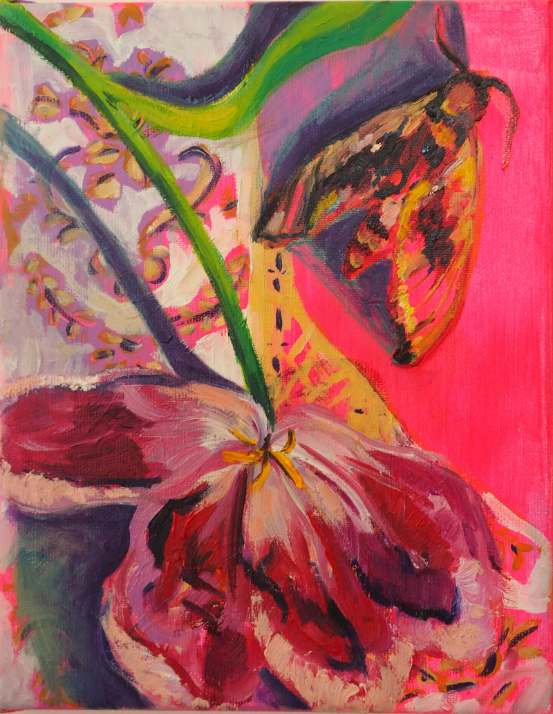 Nachtvlinder, 18 x 24 cm, acryl en olieverf op doek, 2024