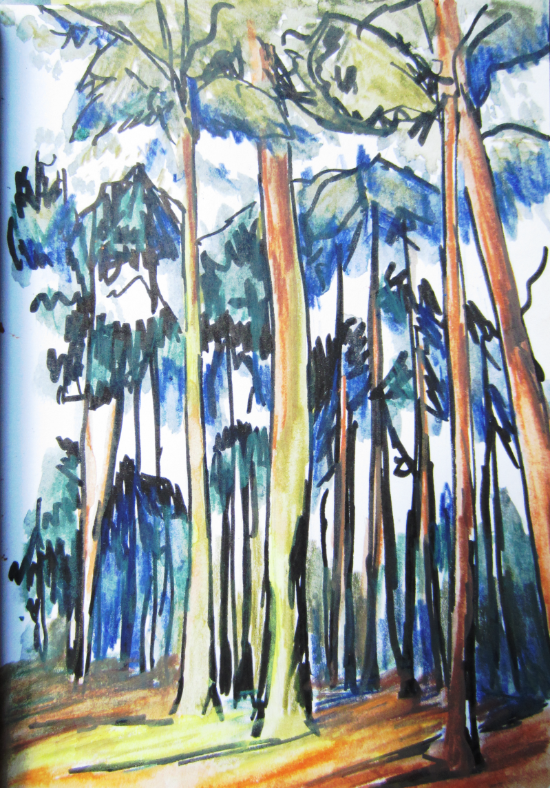 Ecoline en pen op papier, 10,5 x 15 cm, 2017