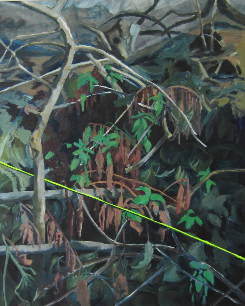Geen titel, olieverf en acryl op canvas, 2017, Privé Collectie