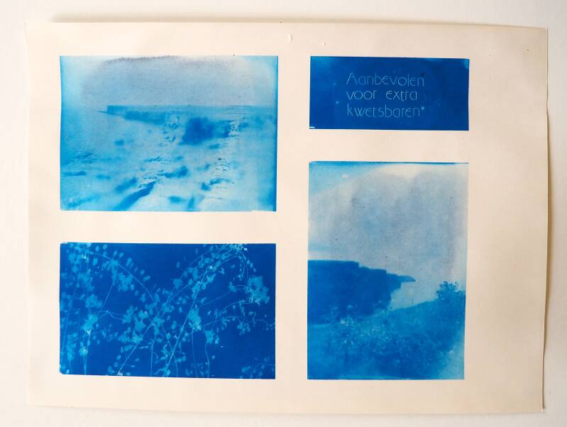 Aanbevolen voor extra kwetsbaren,32 x 24 cm, Cyanotype op papier