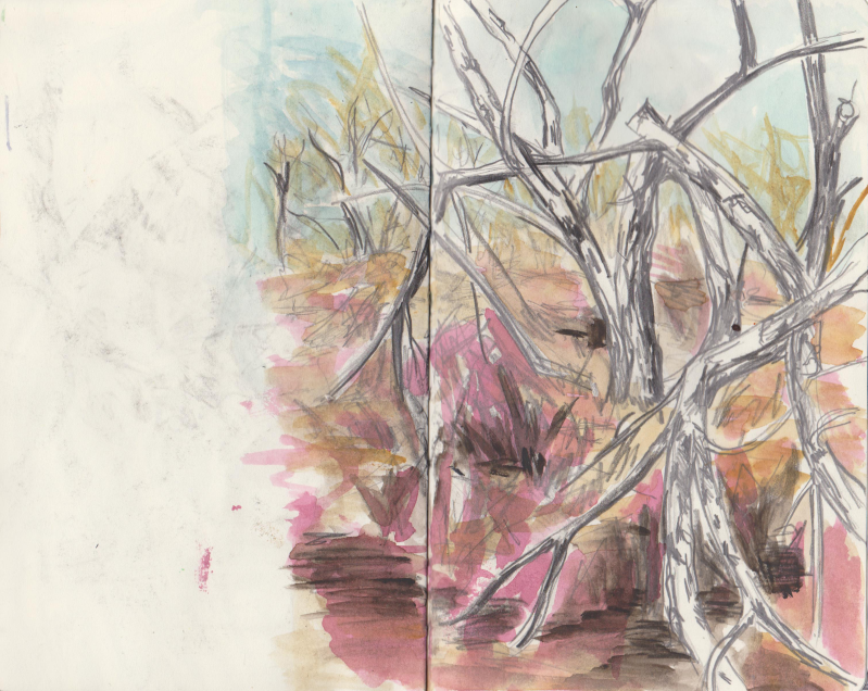 Ecoline en potlood op papier, 19 x 21 cm, 2017