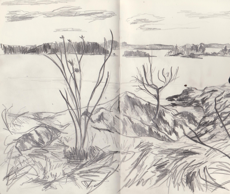 Potlood op papier, 16 x 21 cm, 2017