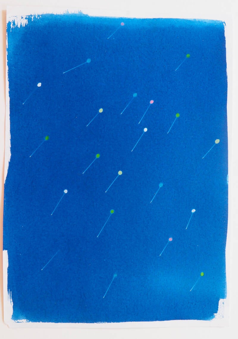 Speldenkopjes, cyanotype op papier, 21 x 29,7 cm, 2026
