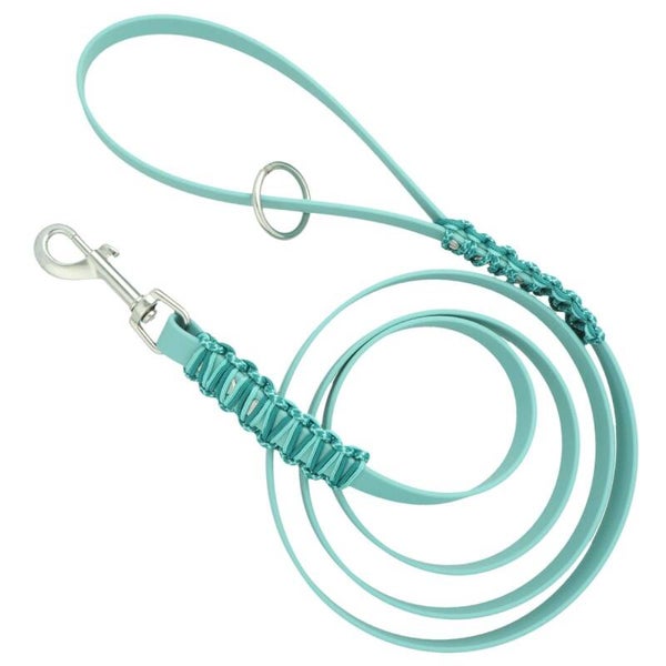 Leiband biothane mint