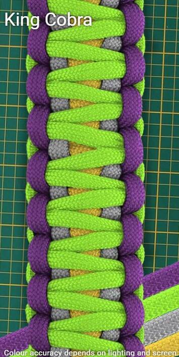 king-cobra-standard.jpg