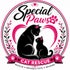Special Paws Cat Rescue
