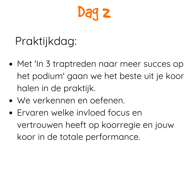 van idee naar uitvoering in de praktijk