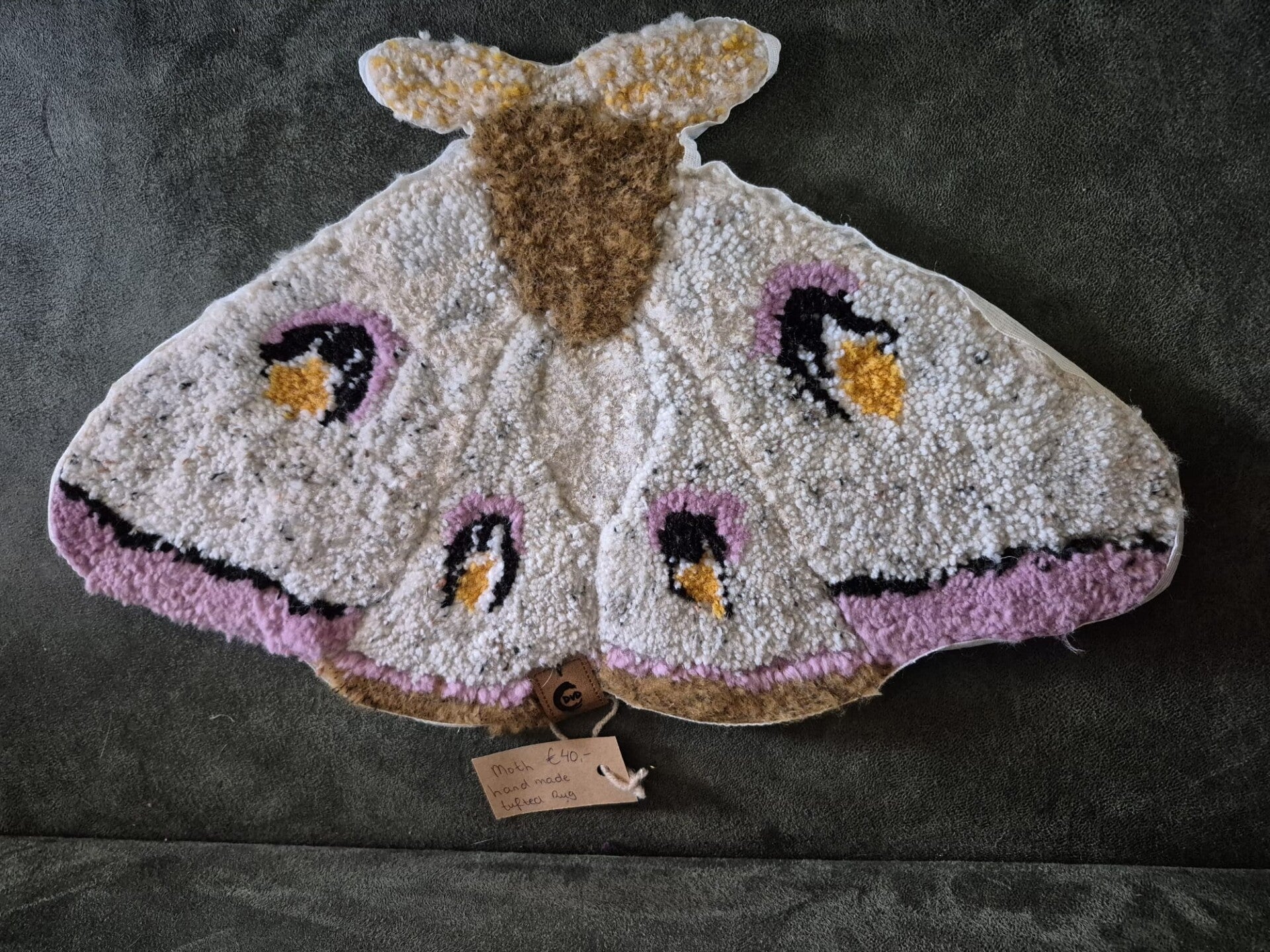 moth-standard-pj6b1m.jpg