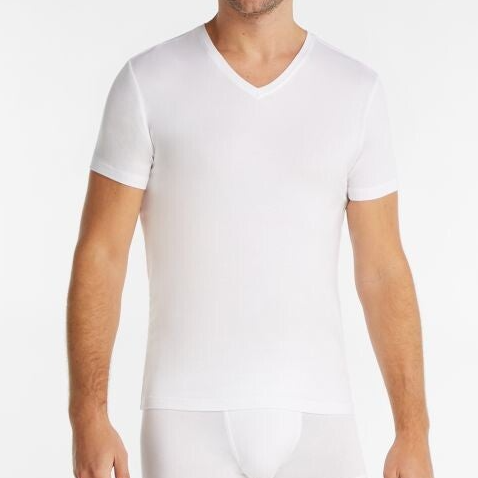 ten Cate Heren T-Shirt V-hals 'Soft Modal'