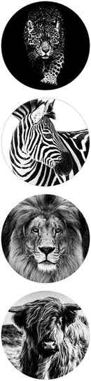 Kadostickers Wild Animals  Assorti - 4 stuks