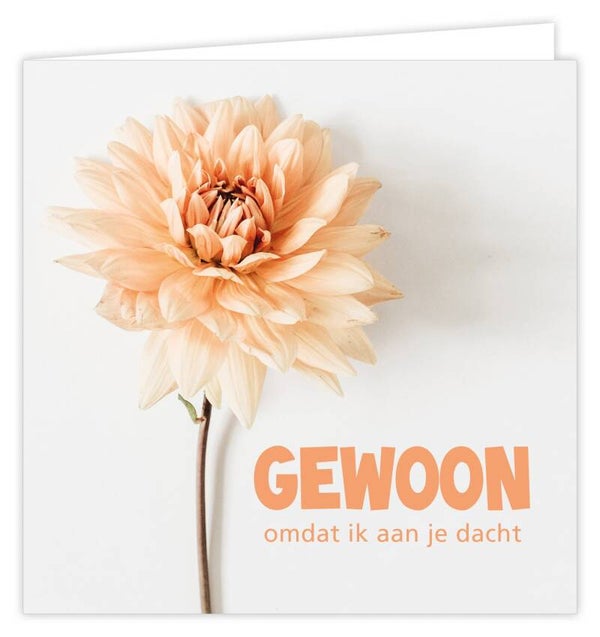 Wenskaart - Gewoon Bloemen