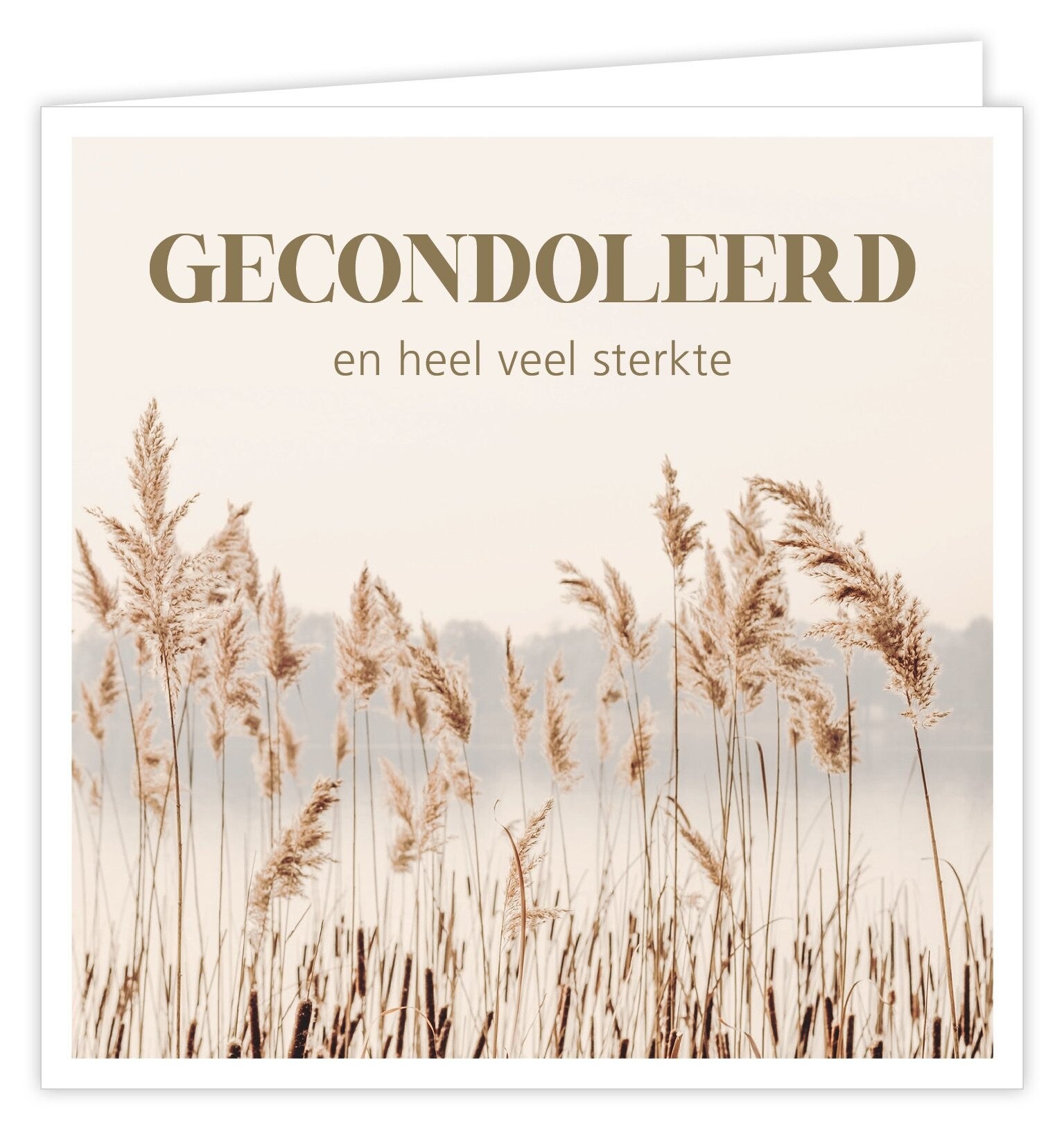 Condoleancekaart Pampas Gecondoleerd En Heel Veel Sterkte