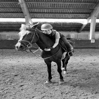 afbeelding20-standard.jpg