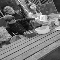 afbeelding27-standard.jpg